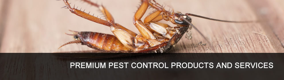 Premium Pest Control Services
